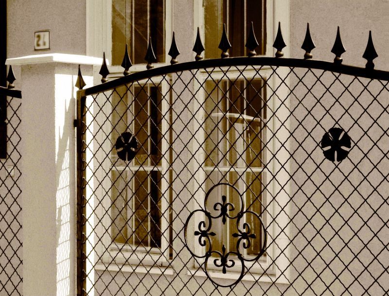 Ornamental Iron Fence Service detail
