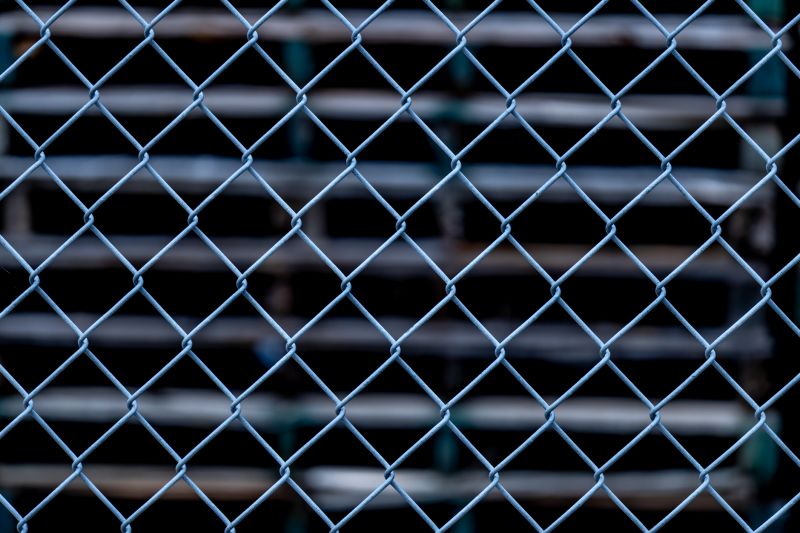 Wire Fencing Service